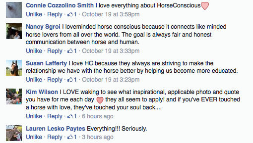HorseConscious reviews